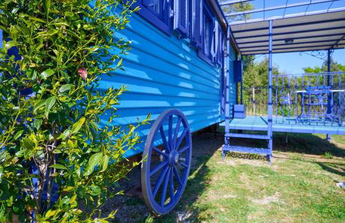 Poggio Diavolino - Suvereto - Foto 47