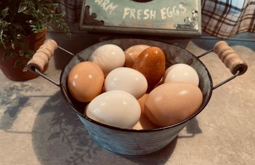 Vintage RV Creekside Nature Retreat near Ojai next to Swim Holes Hike - Foto 14