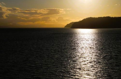 Stunning House with Views of Puget Sound! Ideal for Family Reunions - Photo 140