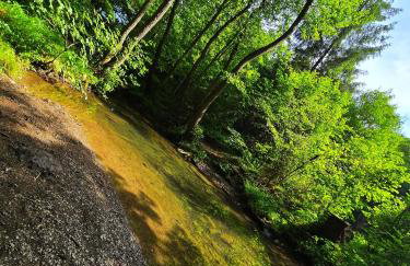 Ferienwohnungen Dorfliebe Dörnberg - Foto 48