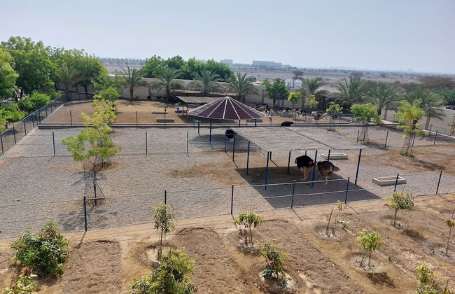 Asahalah Farm Villas - Photo 41