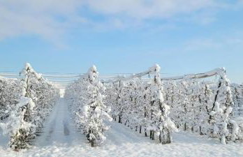 Ferienwohnung am Rotach - Foto 61