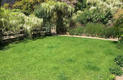 Cider Cottage - 3 Bedroom - Onsite Parking - Photo 16