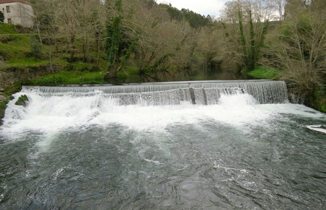 Forest House Casinha do Carvalhal - Foto 8