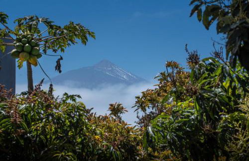 Villas Norte Piscina privada climatizada - Foto 38