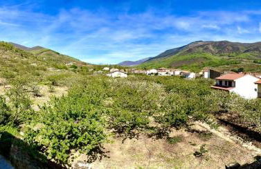 CASA BRIGIDA - Foto 34