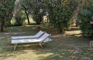 Agriturismo Pettinari - Foto 17