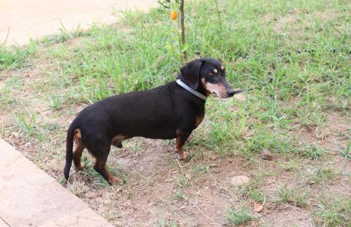 Casale Morillo - Foto 43