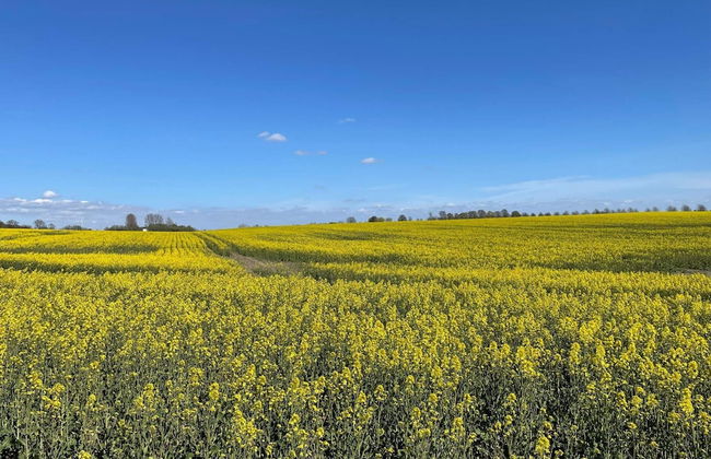 4 Person Holiday Home in Loddekopinge - Foto 14