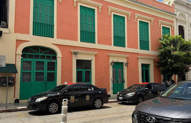 Gladiolas 1102 - Foto 12