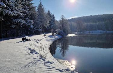 Ferienwohnung Kessler's Eifeldomizil - Foto 30