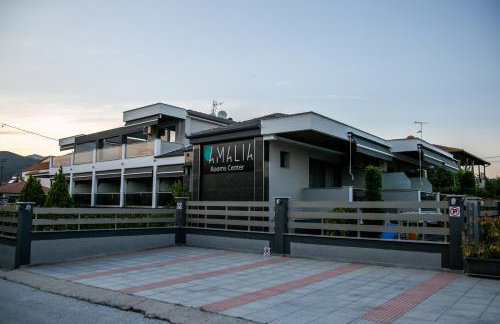 Amalia Center - Photo 9