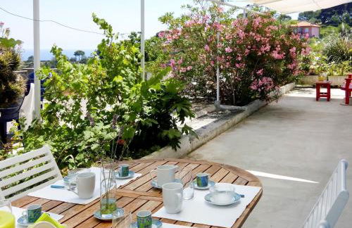 Apartment Ketty - SLR110 by Interhome - Foto 14