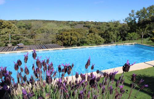 Quinta Da Devesa B1 - Foto 8