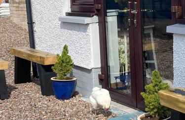 The Hive at Bee Happy Breaks Scotland - Photo 10