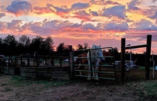 New! Adorable Cabin in Colorado National Forest - Foto 28