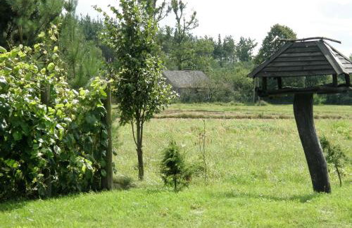 Agroturystyka "Bociek" - Foto 28