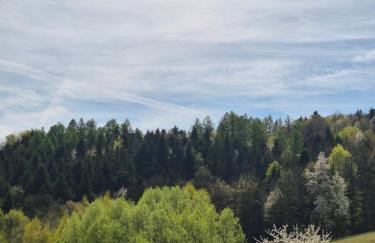 Jaszczurówka pod Leskowcem - Foto 7