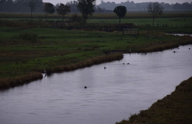 Holiday Home Hooge Warf - Foto 21