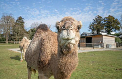 Fairytale Staycation - Near London by Damask Homes - Foto 4