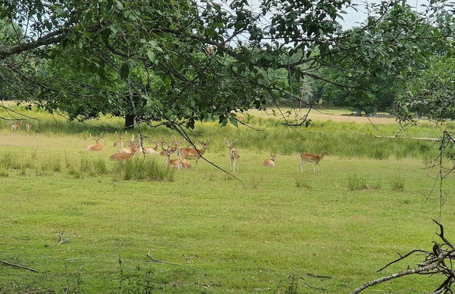 Well-equipped Beachside Cottage - Foto 53
