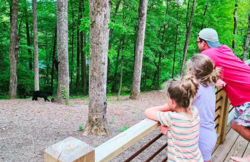 The Toasted Marshmallow 2 Kings Fire Pit Hiking - Foto 49