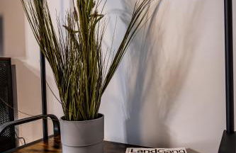 4 Zimmer hochwertig saniertes Cityapartment ruhig gelegen - Foto 75