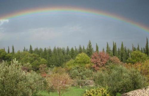 One Bedroom Apartment With Terrace A1 - Photo 6