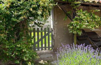 Domaine de la Serve - Foto 33