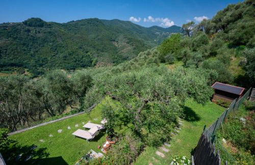 Ollie`s house - Foto 72