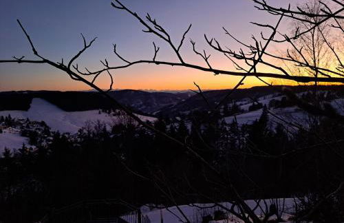La Petite Retraite - Ein Idyll in Todtnauberg - Foto 42