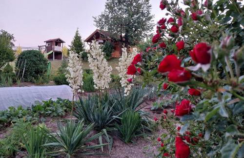 Gschwandnerhof - Foto 29