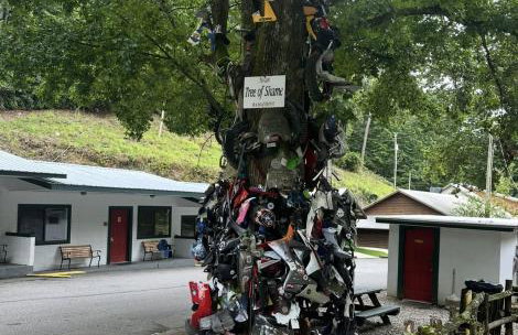 Bear's Mountaintop Home with Gorgeous Lake Views chalet - Foto 61