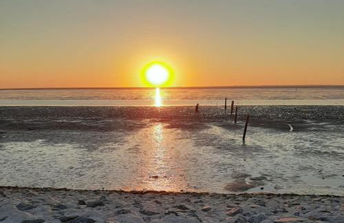 Ferienwohnung Baltrum auf dem Elisenhof Hagermarsch - Foto 38