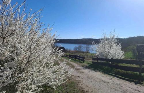 Biały Domek dla 6 osób oraz Domek Sternika dla 4 osób - jezioro, las, wiejski klimat - Foto 34