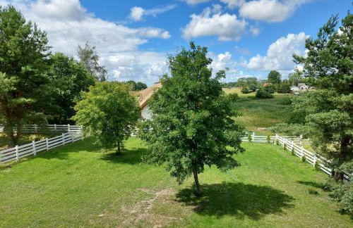 Greyówka dom kryty strzechą w Gardna Park - Foto 8