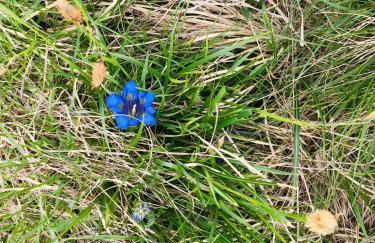 Biohof Hamann - Foto 15