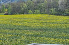 Złota Widokówka - Foto 28