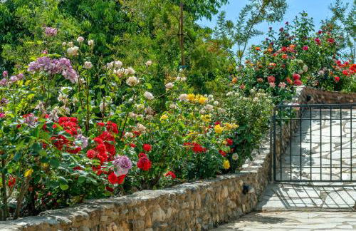 Alpujarra Sulayr - Foto 57