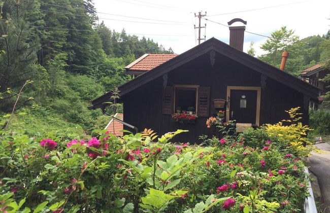 Wildromantisches Appartement am Bachlauf - Photo 29