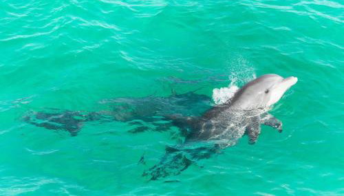 Azure! Sleeps 22 - Golf Cart - Beach Access - Pool - Foto 5