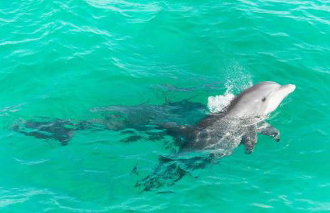 Azure! Sleeps 22 - Golf Cart - Beach Access - Pool - Foto 5