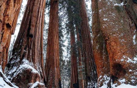 Delilah Ridge Winery Mid Mod Guesthouse - Foto 48