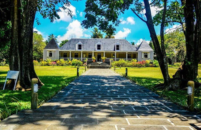 Mauritius Island Private Tea Tour - Foto 6