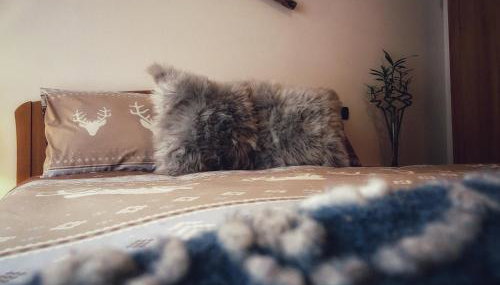 Casa Minela - Foto 4