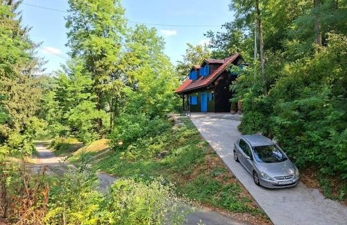 Blue House - Photo 16