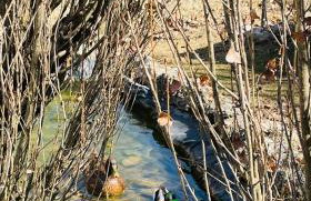 Appartamento Vacanze Il Daino - Foto 19