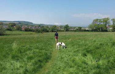 Fossil Cottage (Berryl Farm Cottages) - Foto 12