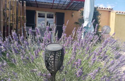 Studio Camille - Foto 4