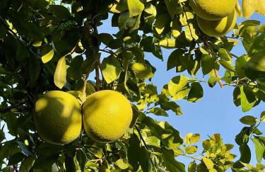 Indian Wells Resort Home with Private Saltwater Pool - Foto 47